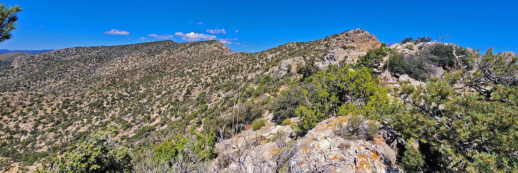 Rainbow Mts. Upper Crest Ridgeline Has a Series of High Points to Navigate. | Mt Wilson to Juniper Peak | Rainbow Mountains Upper Crest Ridgeline | Rainbow Mountain Wilderness, Nevada