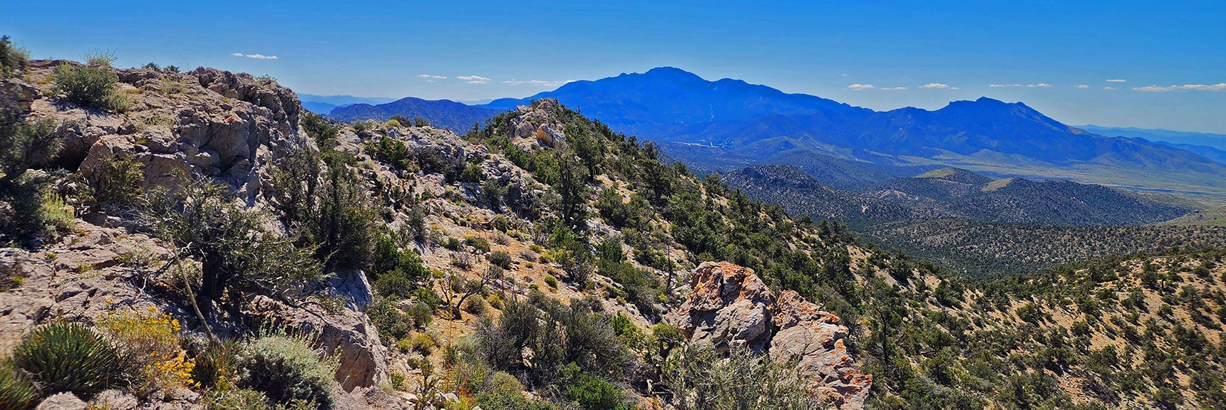 View South Down Rainbow Mts. Upper Crest Ridgeline to Potosi Mt. | Mt Wilson to Juniper Peak | Rainbow Mountains Upper Crest Ridgeline | Rainbow Mountain Wilderness, Nevada