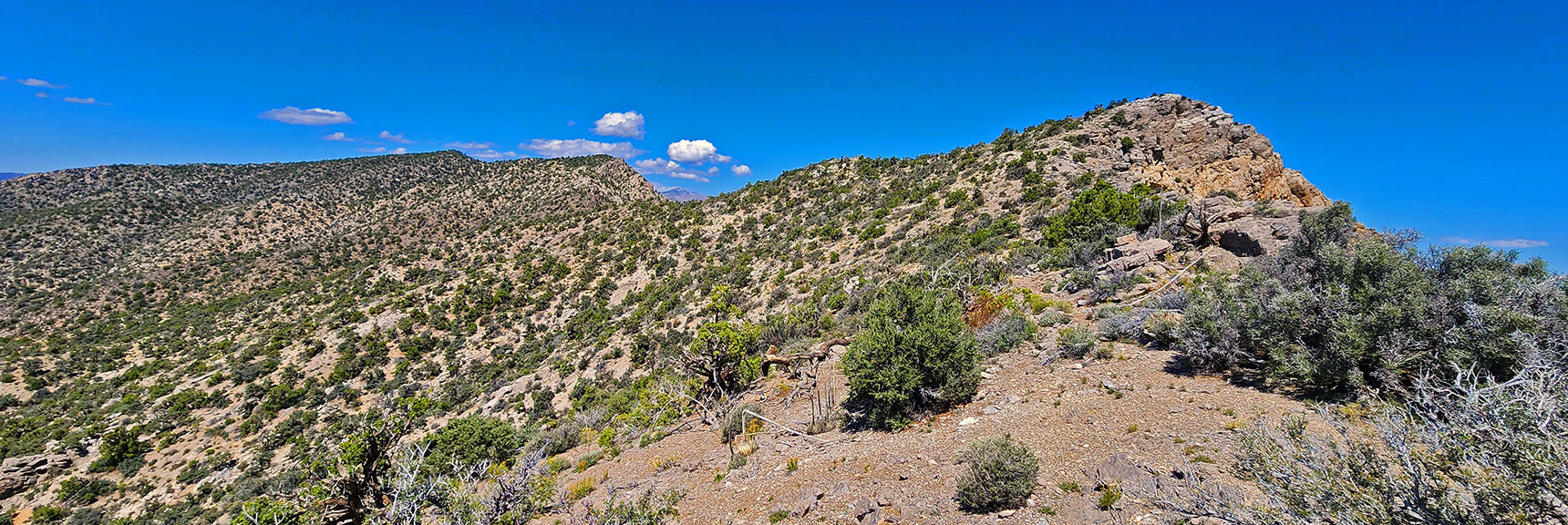 First Ridgeline High Point to North is First Creek Overlook Cliff. | Mt Wilson to Juniper Peak | Rainbow Mountains Upper Crest Ridgeline | Rainbow Mountain Wilderness, Nevada