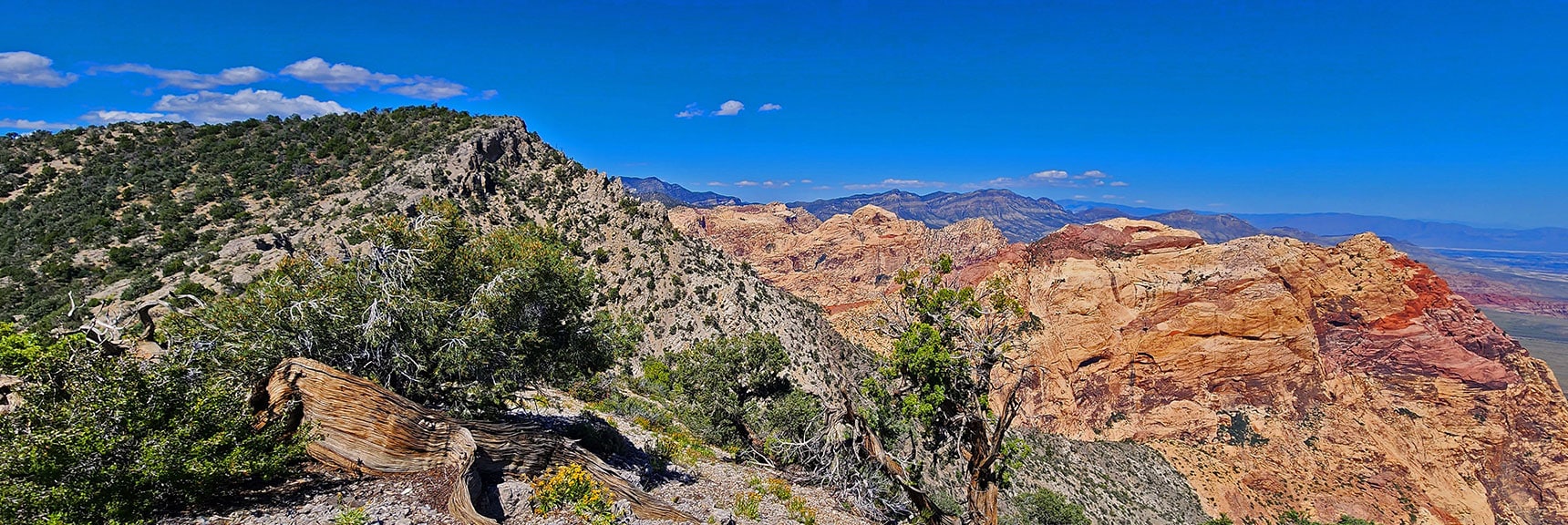 Ridgeline High Point Ahead is Stretch Above Juniper Peak Area. | Mt Wilson to Juniper Peak | Rainbow Mountains Upper Crest Ridgeline | Rainbow Mountain Wilderness, Nevada