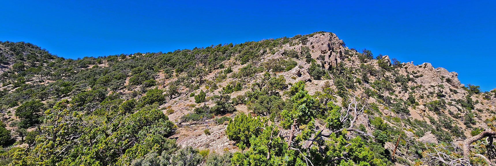 There is a Faint Trail to Aid Navigation Around Ridgeline's Rocky High Points. | Mt Wilson to Juniper Peak | Rainbow Mountains Upper Crest Ridgeline | Rainbow Mountain Wilderness, Nevada