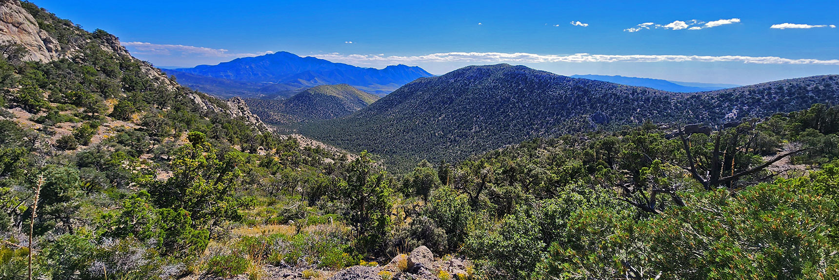 View Down "Gully from Hell" Toward Wash Along Base of Wilson Ridgeline. | Mt Wilson to Juniper Peak | Rainbow Mountains Upper Crest Ridgeline | Rainbow Mountain Wilderness, Nevada