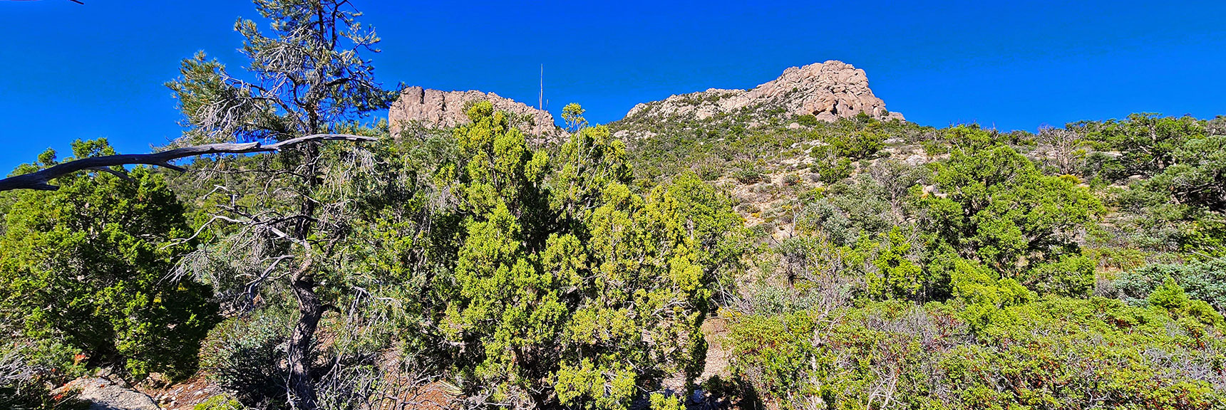 View Back Up To Rocky Ledges on Either Side of "Gully from Hell" | Mt Wilson to Juniper Peak | Rainbow Mountains Upper Crest Ridgeline | Rainbow Mountain Wilderness, Nevada