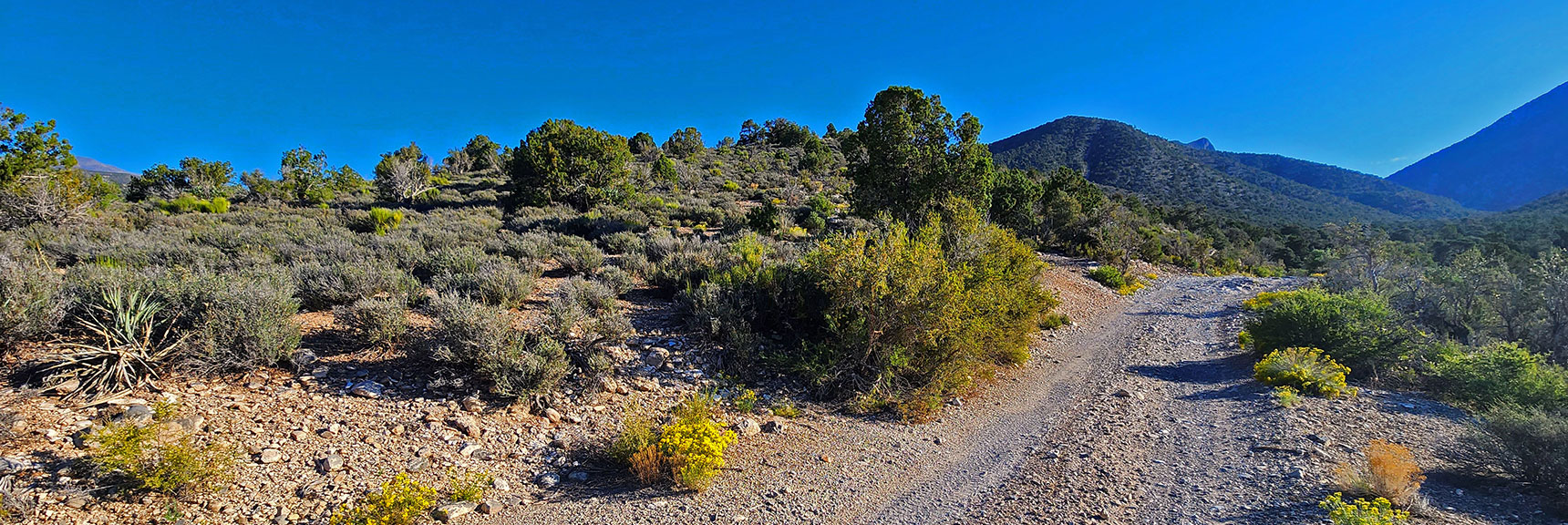 View Up Start of Gradual Approach Ridge (left/North) on Lower Rocky Gap Road | Red Rock Summit | Lovell Canyon & Rainbow Mountain Wilderness, Nevada