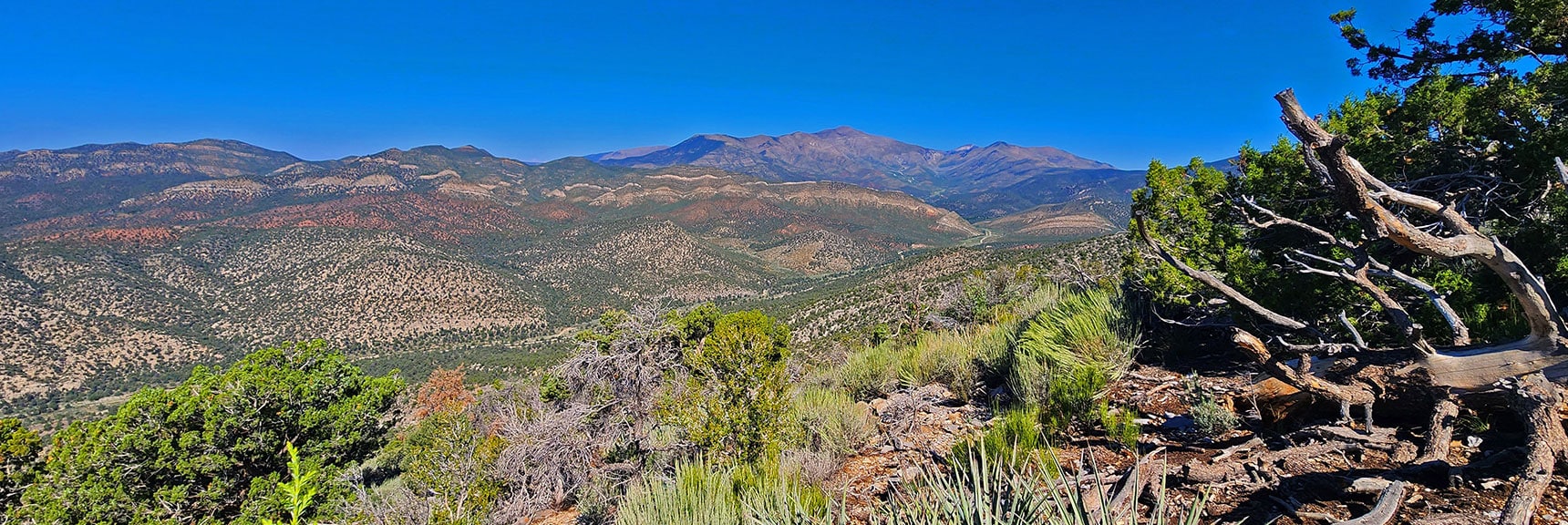 View Up Lovell Canyon to Griffith Peak (left) and Harris Mountain (right). | Red Rock Summit | Lovell Canyon & Rainbow Mountain Wilderness, Nevada
