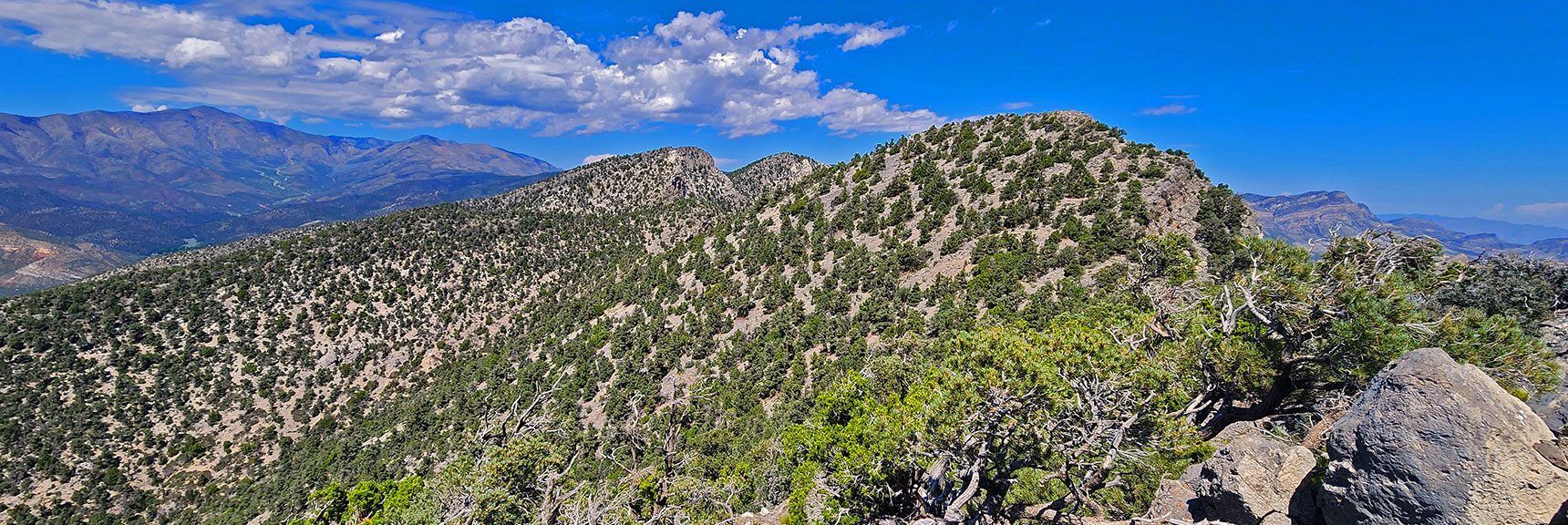 View North Up Wilson Ridge from North Edge of Rocky Gap in Wilson Ridge | Red Rock Summit | Lovell Canyon & Rainbow Mountain Wilderness, Nevada