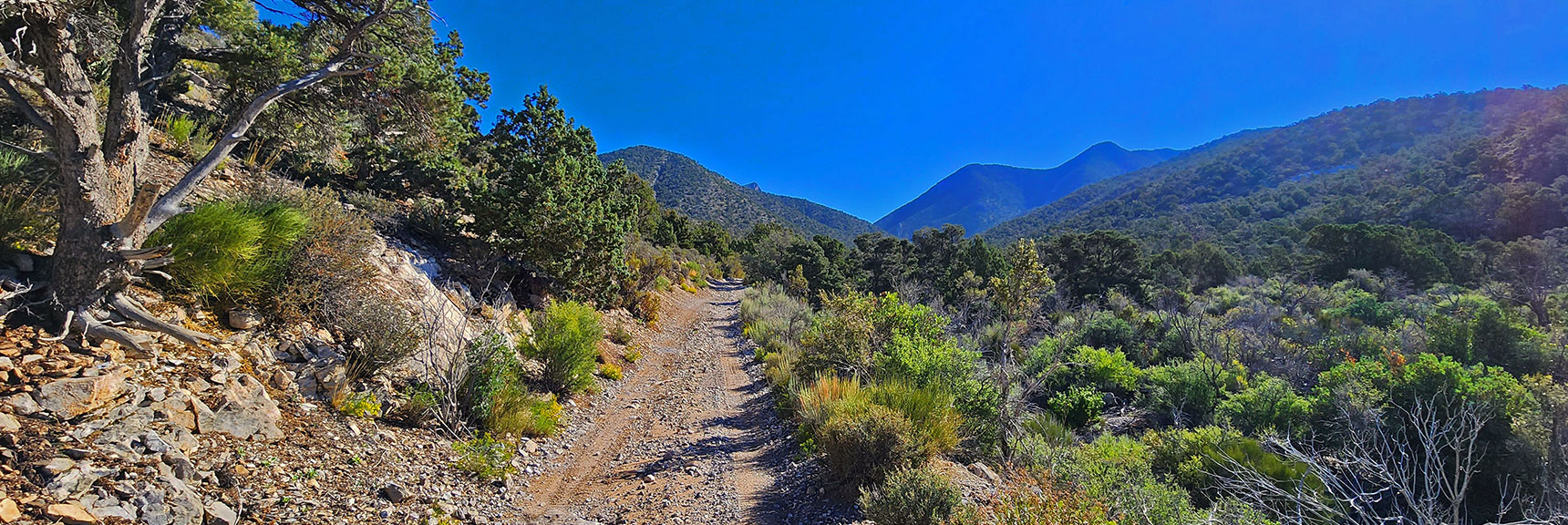 View Up Rocky Gap Road to Gap in the Wilson Ridge Through Which Road Passes. | Rocky Gap Rd to Bridge Mt Trailhead | Lovell Canyon, Nevada