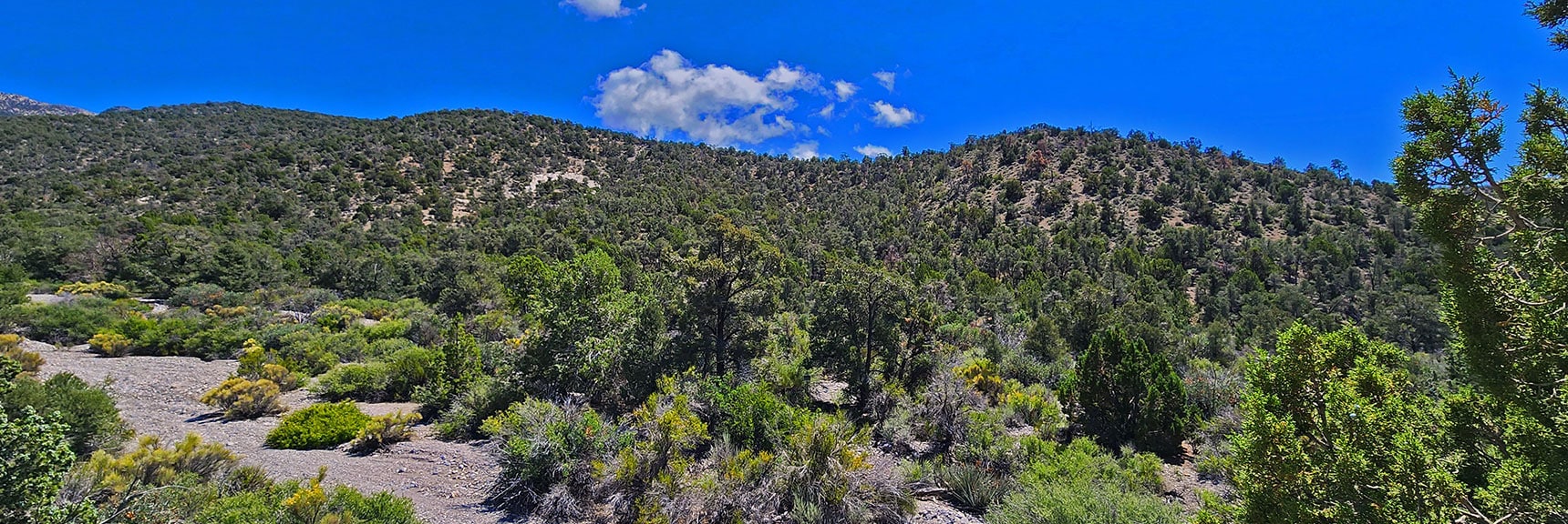 View Right (South) Across to South Approach Ridge | Rocky Gap Rd to Bridge Mt Trailhead | Lovell Canyon, Nevada