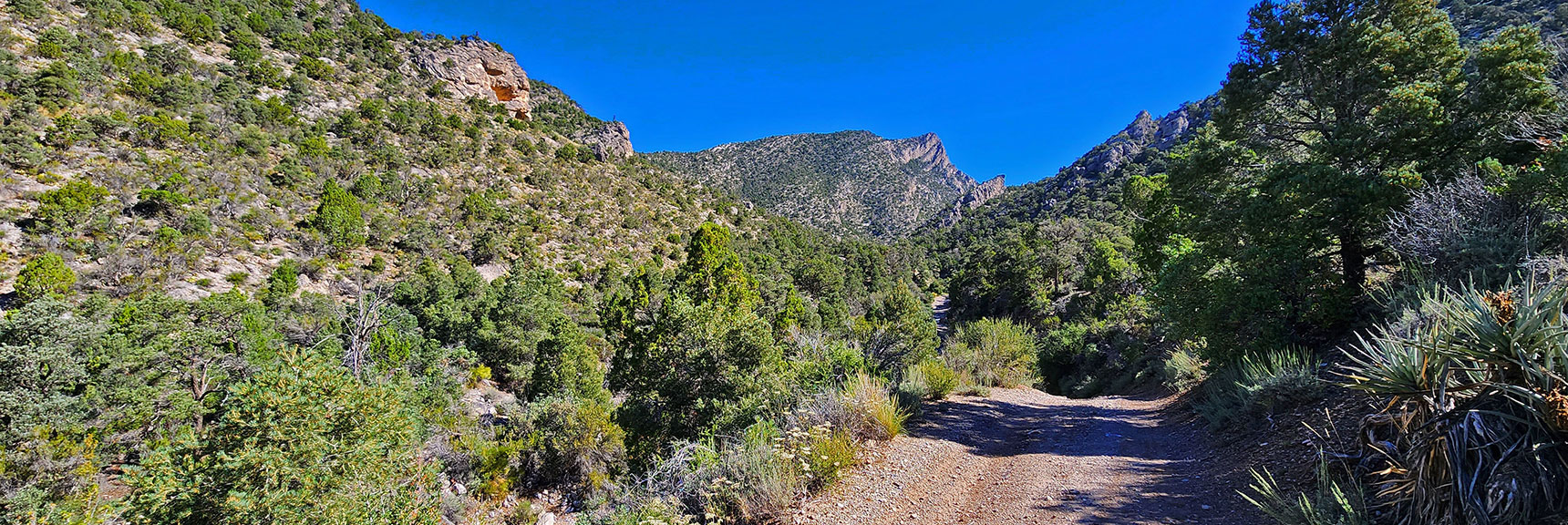 View Up Rocky Gap Road to Red Rock Summit | Rocky Gap Rd to Bridge Mt Trailhead | Lovell Canyon, Nevada