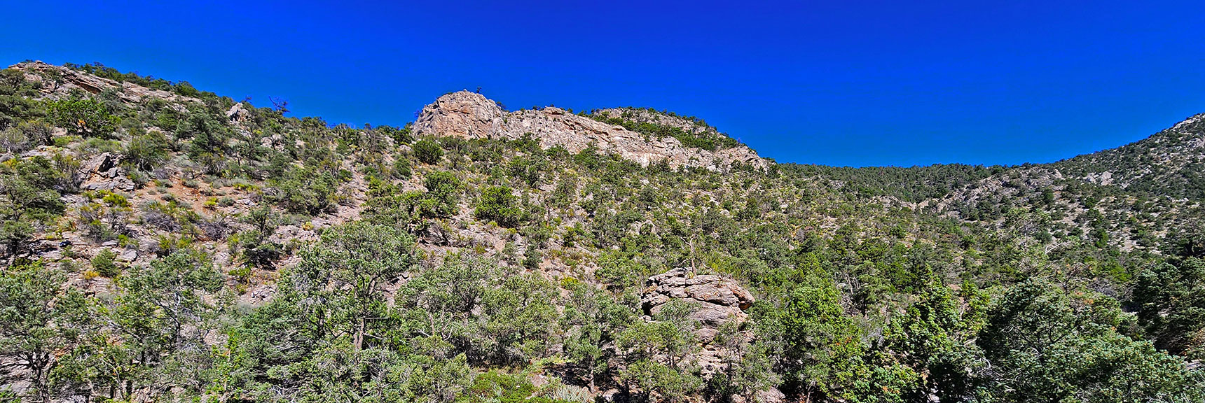 Higher Up on Northern Approach Ridge | Rocky Gap Rd to Bridge Mt Trailhead | Lovell Canyon, Nevada