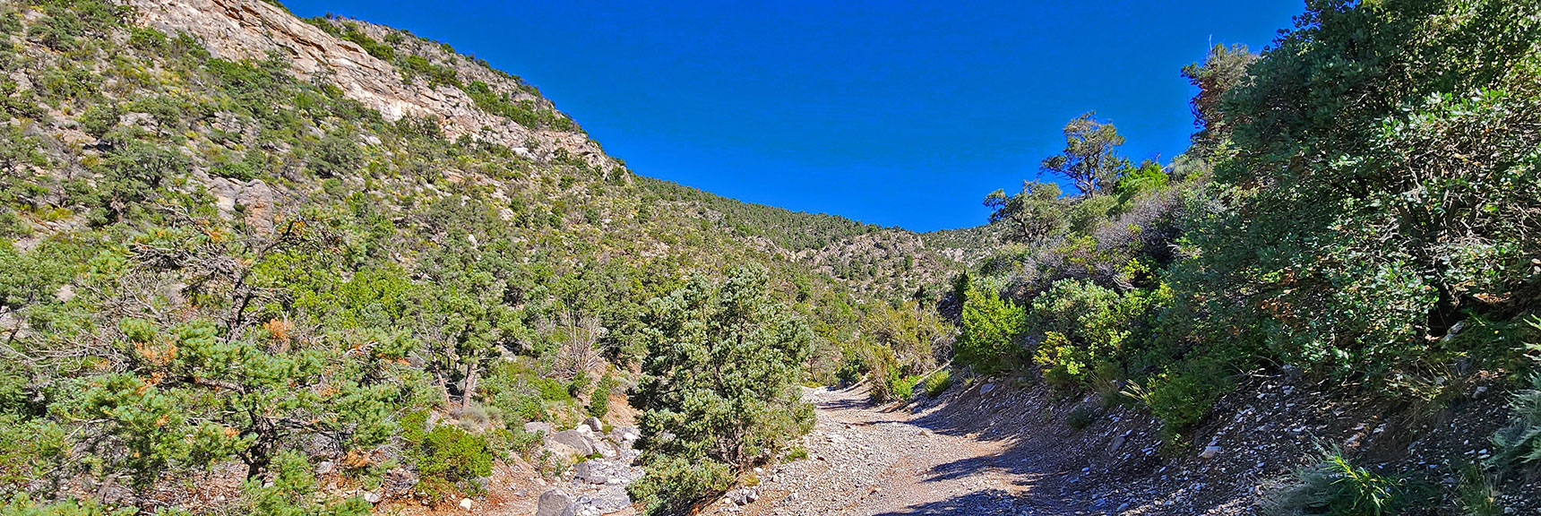 Continuing Up Rocky Gap Road. Looks Like a Nice Road Now. Not for Long! | Rocky Gap Rd to Bridge Mt Trailhead | Lovell Canyon, Nevada