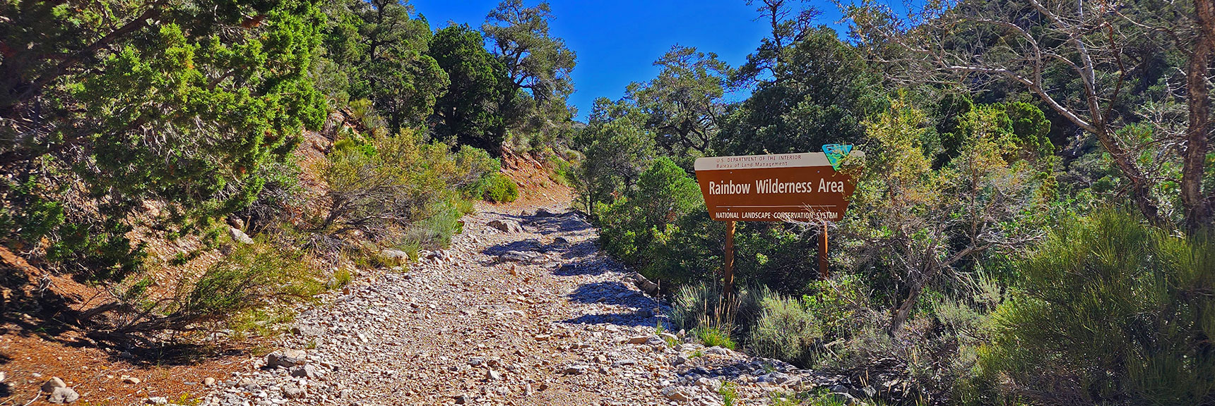 Now Entering Rainbow Mountain Wilderness Area | Rocky Gap Rd to Bridge Mt Trailhead | Lovell Canyon, Nevada