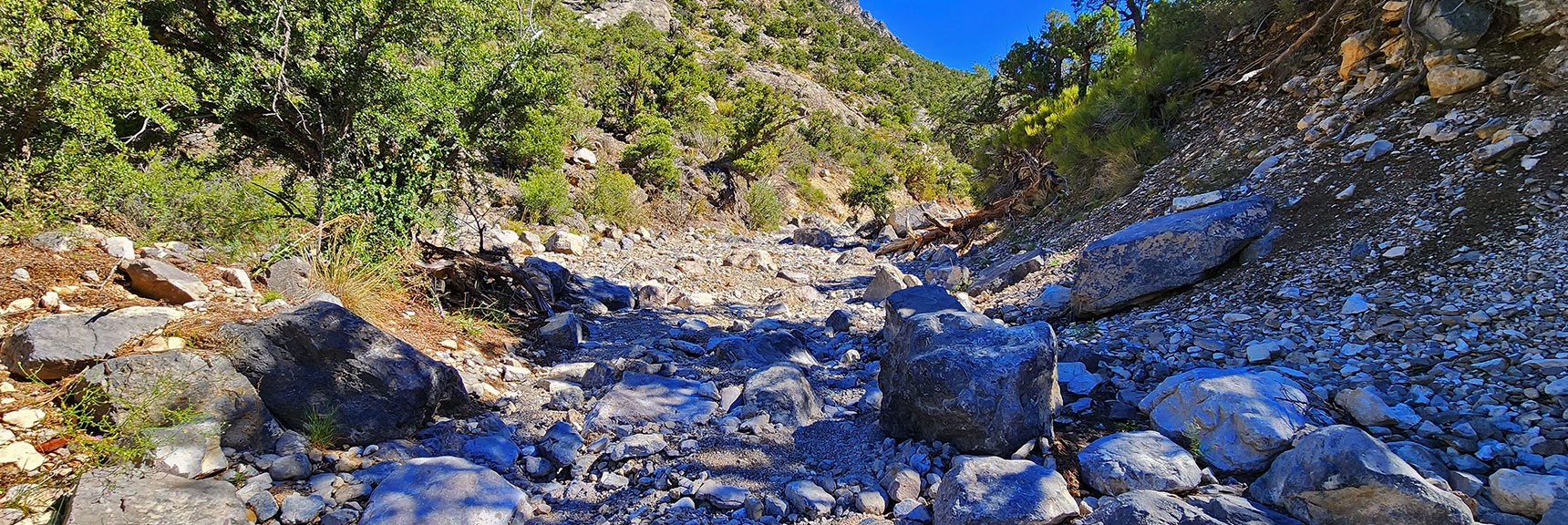 Imagine the Force of Cascading Water That Could Move Rocks of This Size! | Rocky Gap Rd to Bridge Mt Trailhead | Lovell Canyon, Nevada