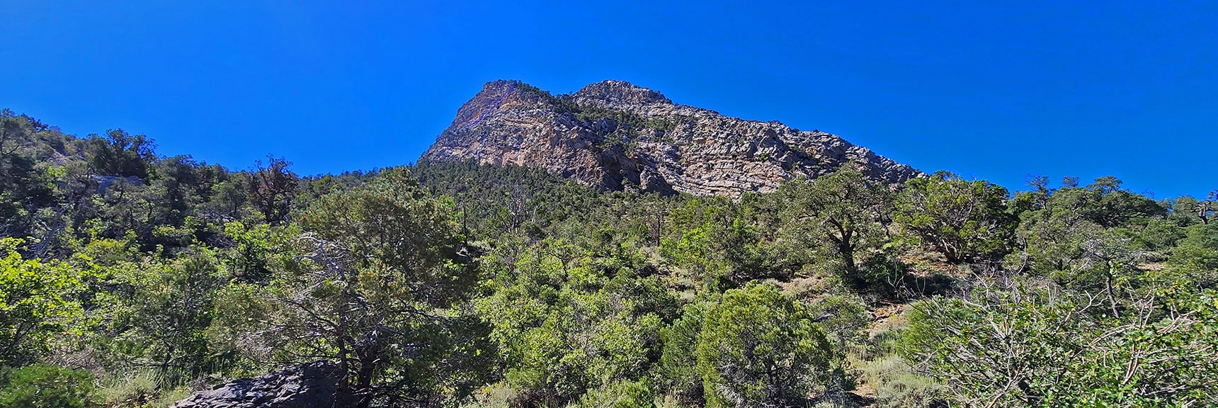 Probably Best to Navigate the Southern Stretch of Wilson Ridge Behind Its Cliffs. | Rocky Gap Rd to Bridge Mt Trailhead | Lovell Canyon, Nevada