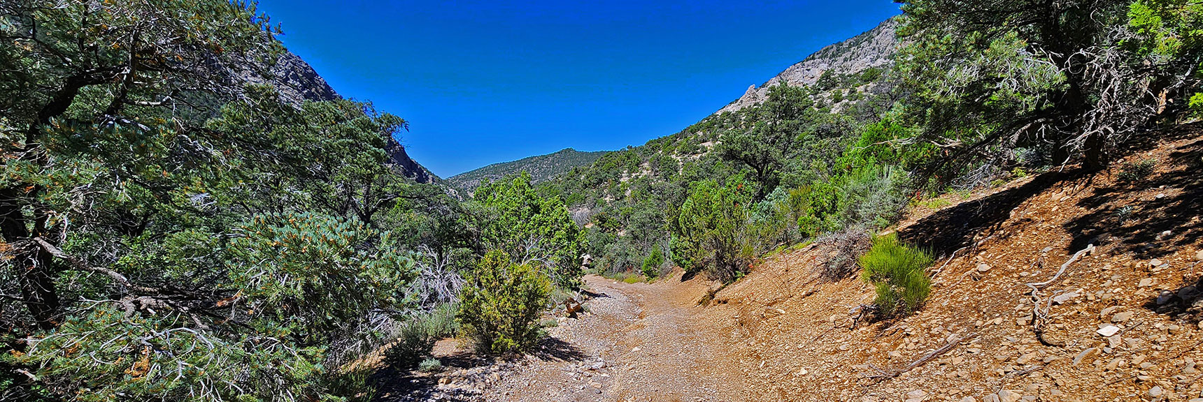 View Back Down Rocky Gap Road While Nearing Bridge Mt. Trailhead. | Rocky Gap Rd to Bridge Mt Trailhead | Lovell Canyon, Nevada