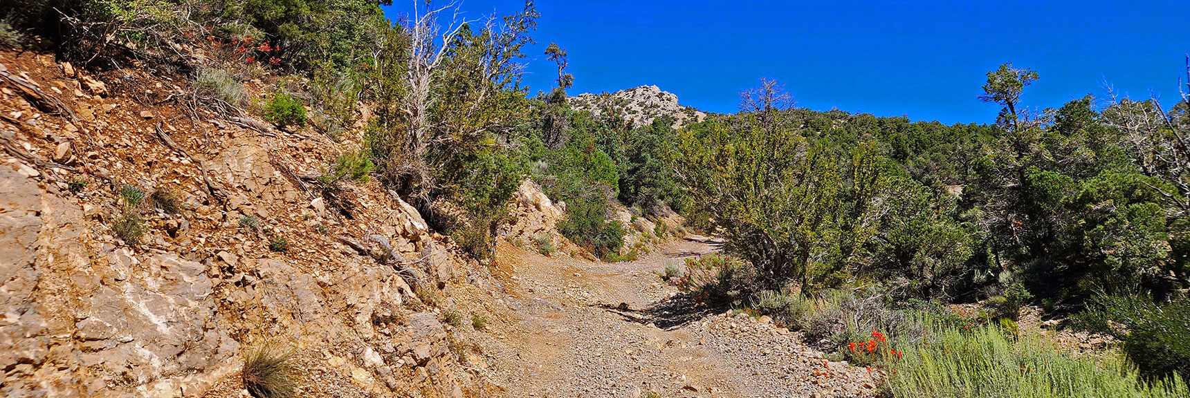 White Rock Bluff Ahead is Directly Above and North of the Bridge Mountain Trailhead. | Rocky Gap Rd to Bridge Mt Trailhead | Lovell Canyon, Nevada