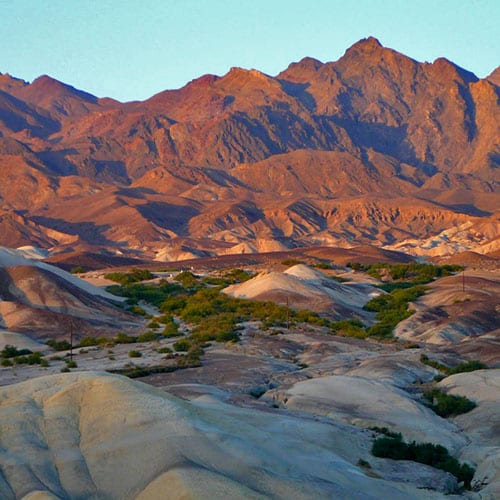 Texas Springs Campground | Death Valley National Park, California