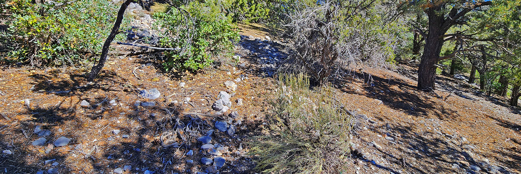Elaborate Stone Lined Pathway Marks Campsite High on Ridge | Mini Matterhorn Pinnacle | Wilson Ridge | Lovell Canyon, Nevada