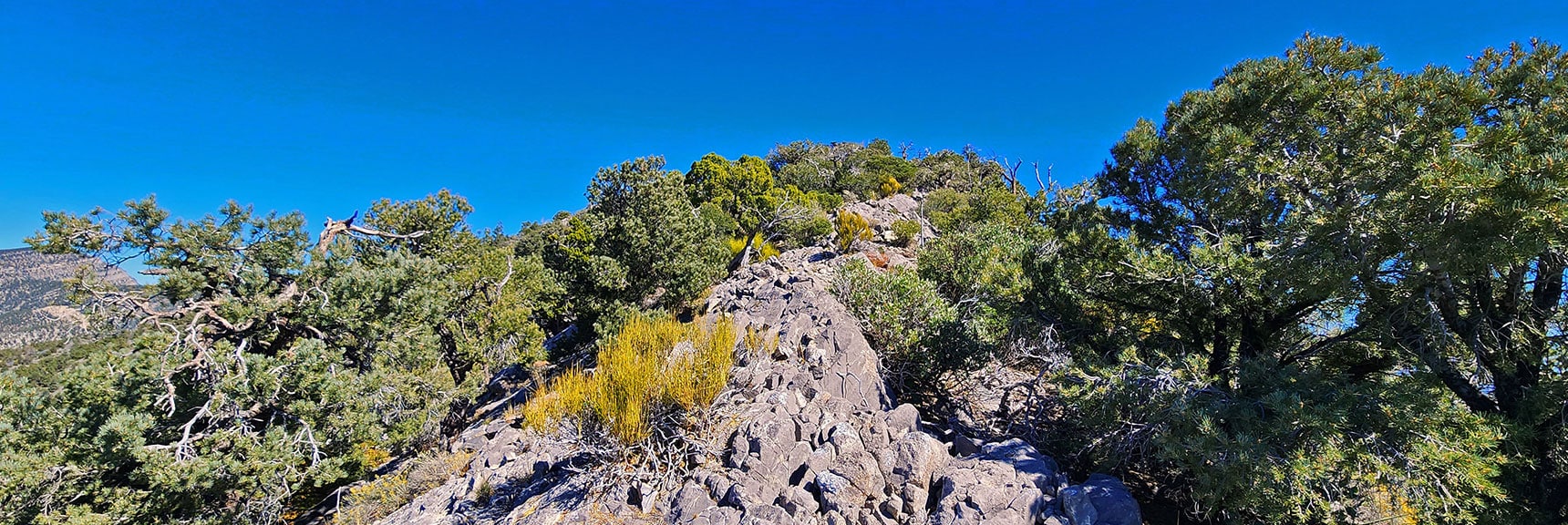 Approach Ridge Becoming Rockier and Narrower During Final Stretch to Pinnacle | Mini Matterhorn Pinnacle | Wilson Ridge | Lovell Canyon, Nevada
