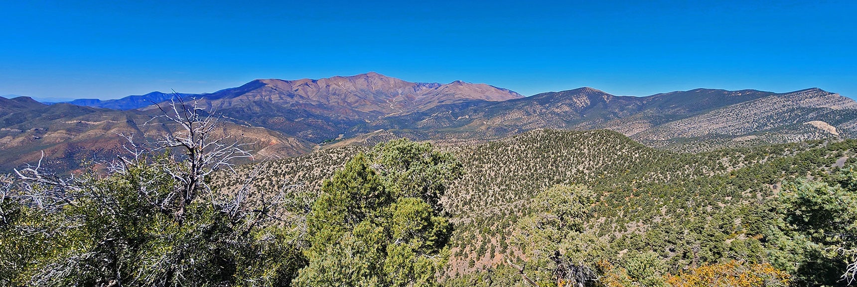 View to Upper Lovell Canyon. Griffith & Harris Peaks, Sexton & Wilson Ridgelines. | Mini Matterhorn Pinnacle | Wilson Ridge | Lovell Canyon, Nevada