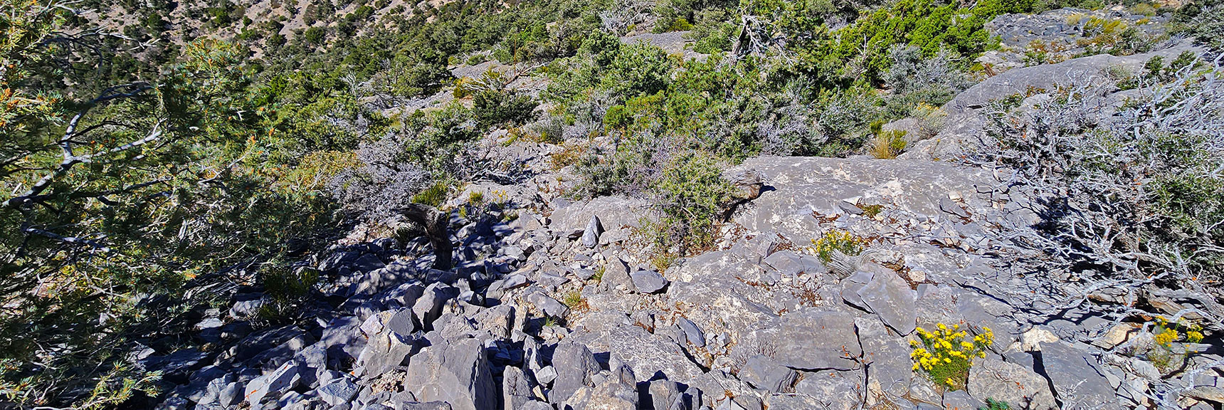 Begin Red Rock Summit Steep North Descent | Red Rock Summit Loop | Wilson Ridge | Lovell Canyon, Nevada