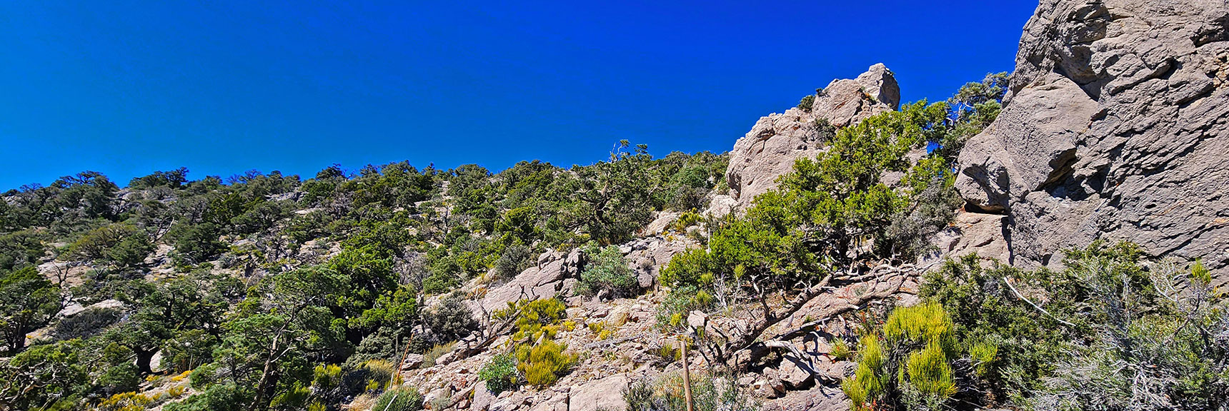 Ascending 2nd High Point North of Red Rock Summit. Has Nice Gradual Descent Ridge. | Red Rock Summit Loop | Wilson Ridge | Lovell Canyon, Nevada