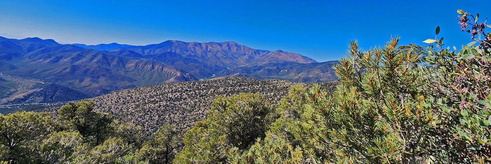 Large View to Upper Lovell Canyon | Red Rock Summit Loop | Wilson Ridge | Lovell Canyon, Nevada