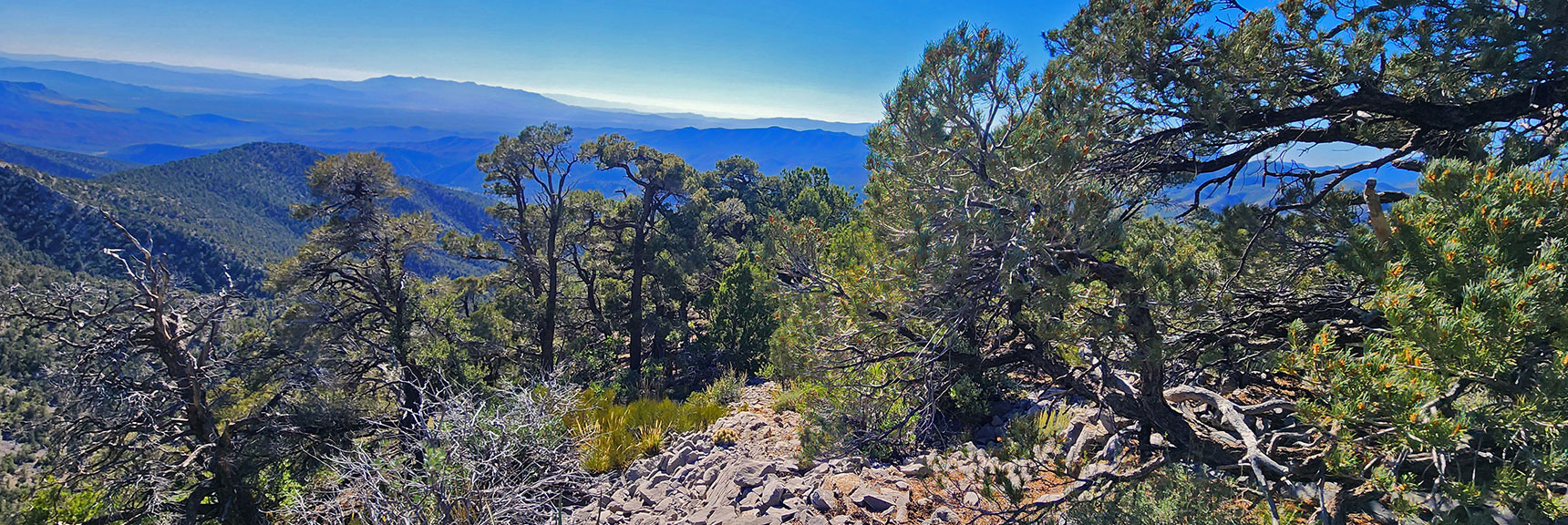Faint Pathway on 2nd High Point's Descent Ridge Helps Streamline Progress. | Red Rock Summit Loop | Wilson Ridge | Lovell Canyon, Nevada