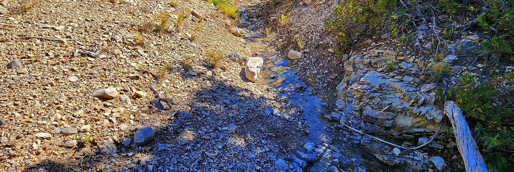 Sheep Spring Flowing Year 'Round Would Have Been Water Source for Irrigation System | Switchback Spring Pinnacle | Wilson Ridge | Lovell Canyon, Nevada