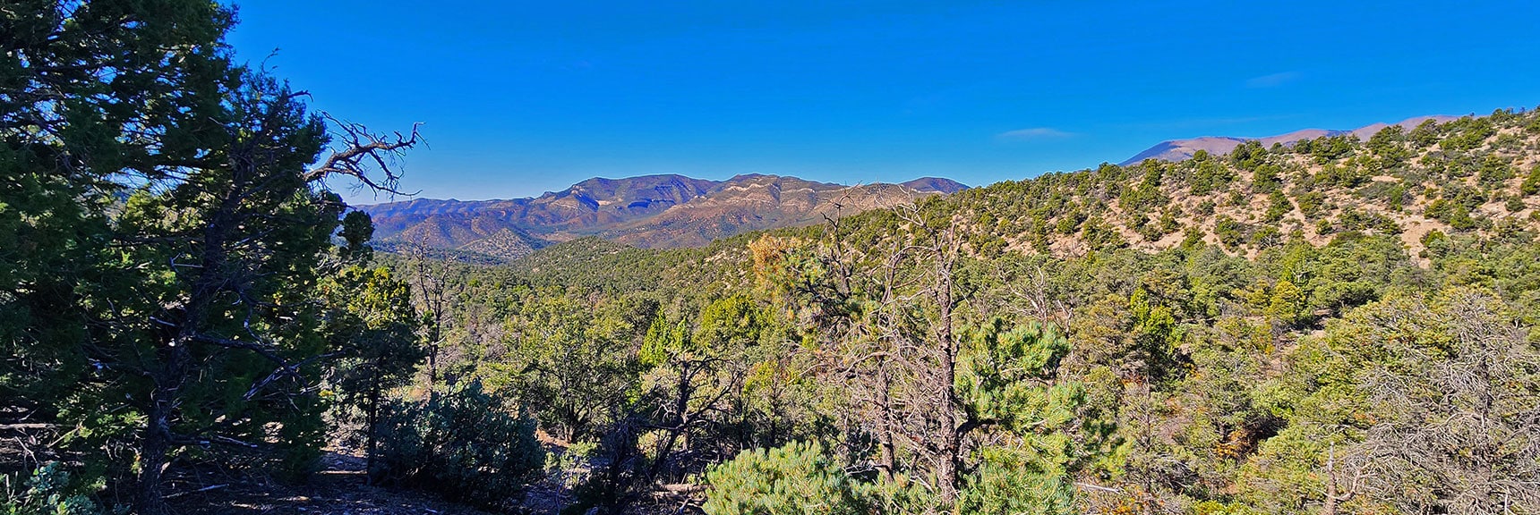 Long Ridgeline Gradually Descends to Lovell Canyon Road. | Switchback Spring Pinnacle | Wilson Ridge | Lovell Canyon, Nevada