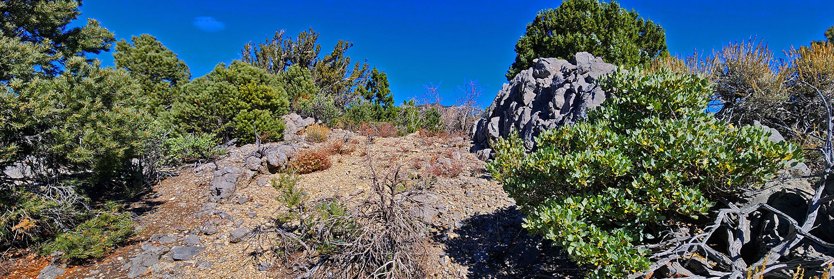 Another Potential Ancient Dwelling Space. Stone Border to Left. | Switchback Spring Pinnacle | Wilson Ridge | Lovell Canyon, Nevada