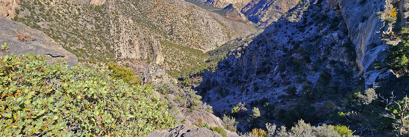 Descent Route Channeling into Switchback Spring Canyon, Then Down to Rocky Gap Rd. | Switchback Spring Pinnacle | Wilson Ridge | Lovell Canyon, Nevada
