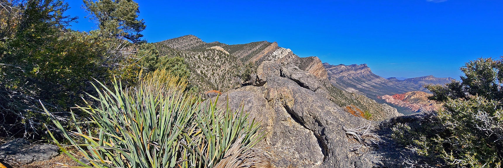 Wilson Ridge with La Madre Ridgeline Splitting Off to the East. | Switchback Spring Pinnacle | Wilson Ridge | Lovell Canyon, Nevada