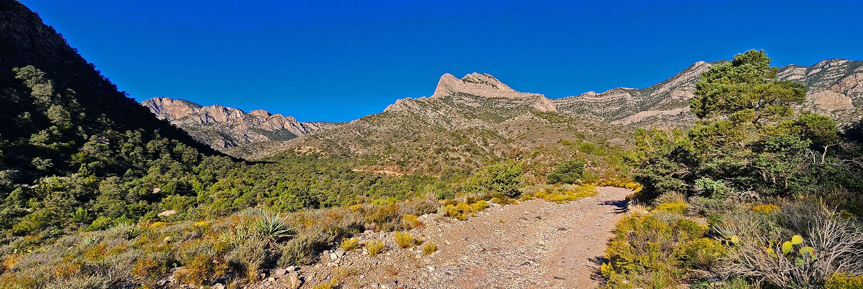 View Up Rocky Gap Road from Near Willow Spring | Switchback Spring Ridge | Red Rock Canyon, Nevada