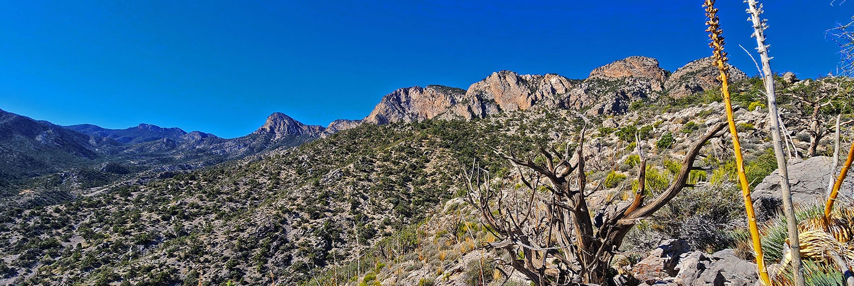View Up the Ridgeline to Cliffs at the Base of the Wilson Ridge | Switchback Spring Ridge | Red Rock Canyon, Nevada