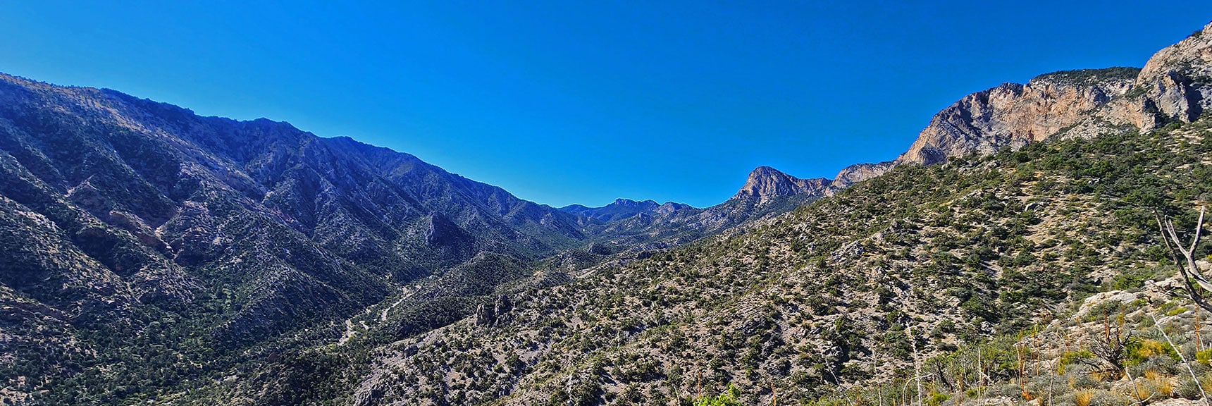 View Up Rocky Gap Canyon. Red Rock Summit to Right | Switchback Spring Ridge | Red Rock Canyon, Nevada