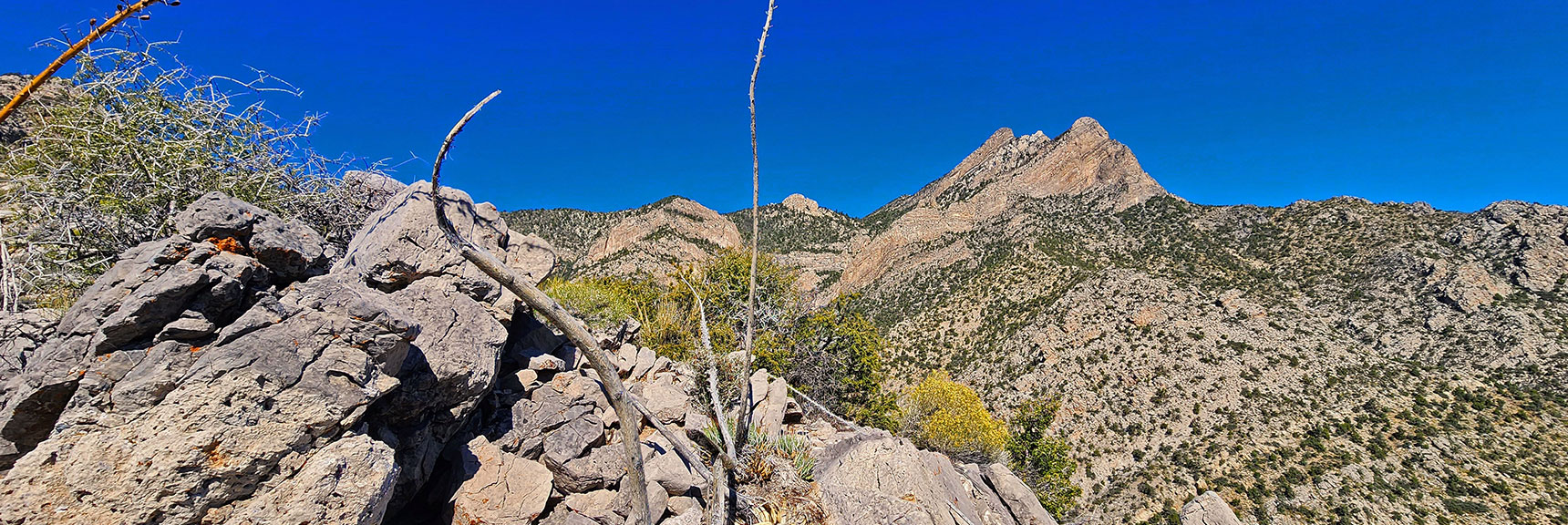 Wilson Ridgeline from Switchback Spring Mid-Ridge | Switchback Spring Ridge | Red Rock Canyon, Nevada