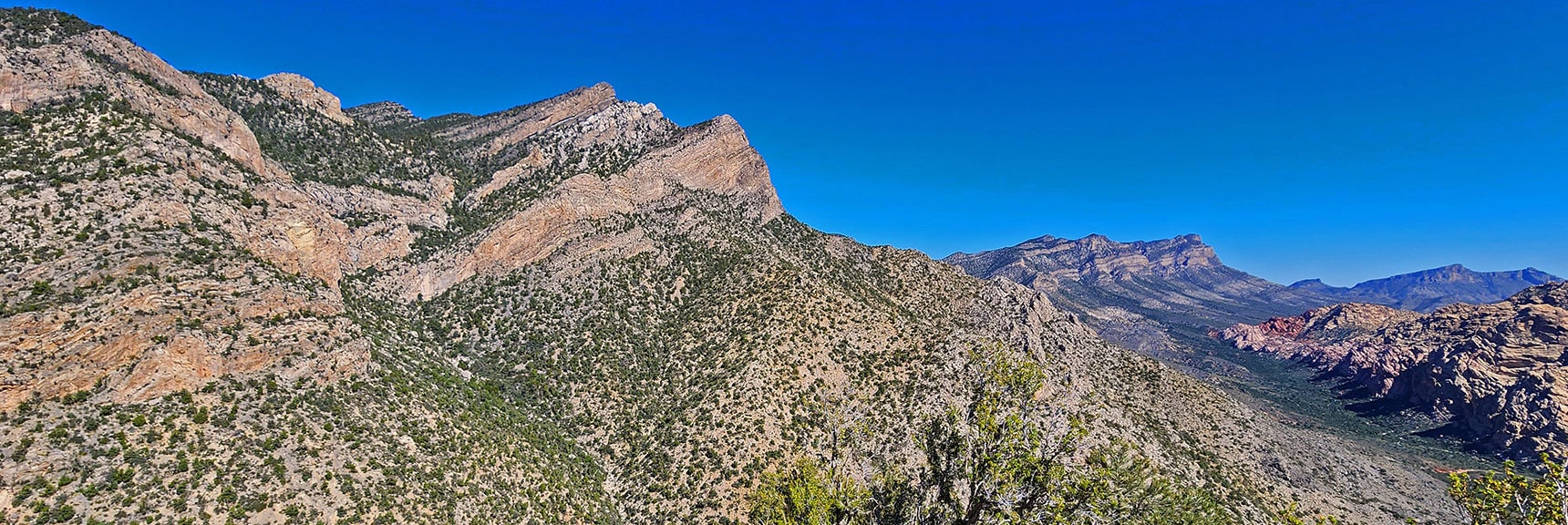 Wilson Ridgeline North of Switchback Spring Canyon | Switchback Spring Ridge | Red Rock Canyon, Nevada