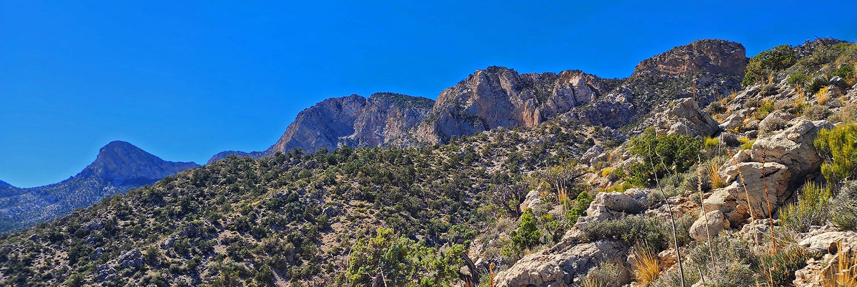 View Up Switchback Spring Ridgeline | Switchback Spring Ridge | Red Rock Canyon, Nevada
