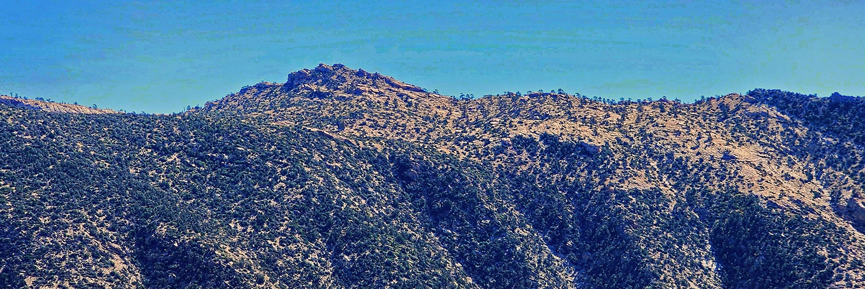 Beautiful Red Rock Plateau Above Buffalo Wall. | Switchback Spring Ridge | Red Rock Canyon, Nevada