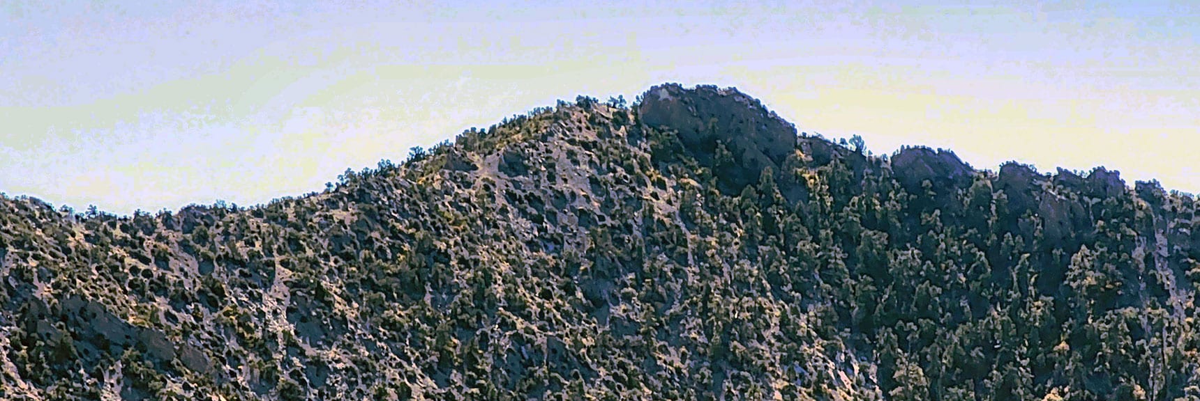North Peak on Rainbow Mts. Upper Crest Ridgeline | Switchback Spring Ridge | Red Rock Canyon, Nevada