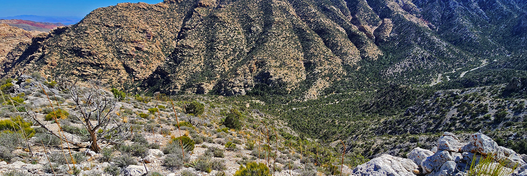 View Down Switchback Spring Ridge to Rocky Gap Road Connection Point | Switchback Spring Ridge | Red Rock Canyon, Nevada