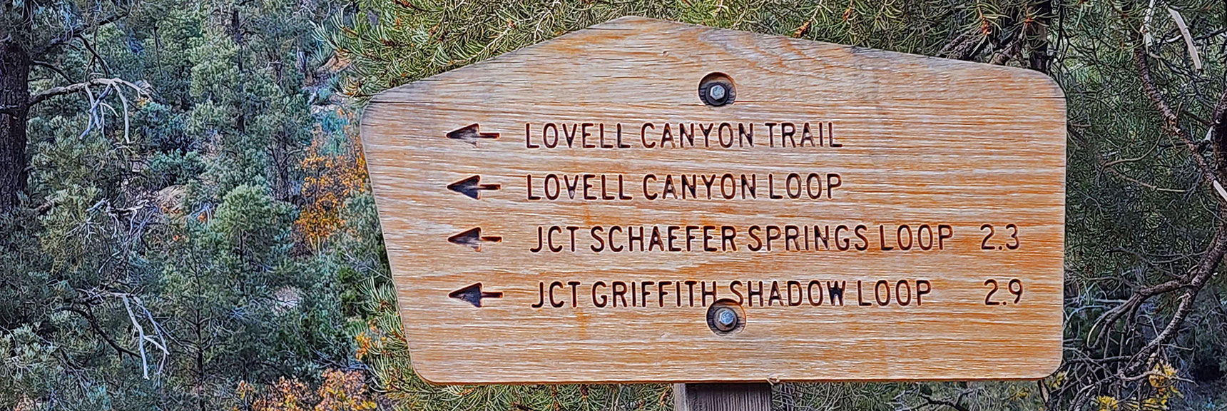 Sign at Main Trailheads: 4 Choices | Griffith Shadow Loop | Lovell Canyon, Nevada