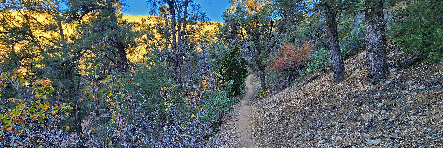 Ascending the First Hill Beyond the Trailhead | Griffith Shadow Loop | Lovell Canyon, Nevada