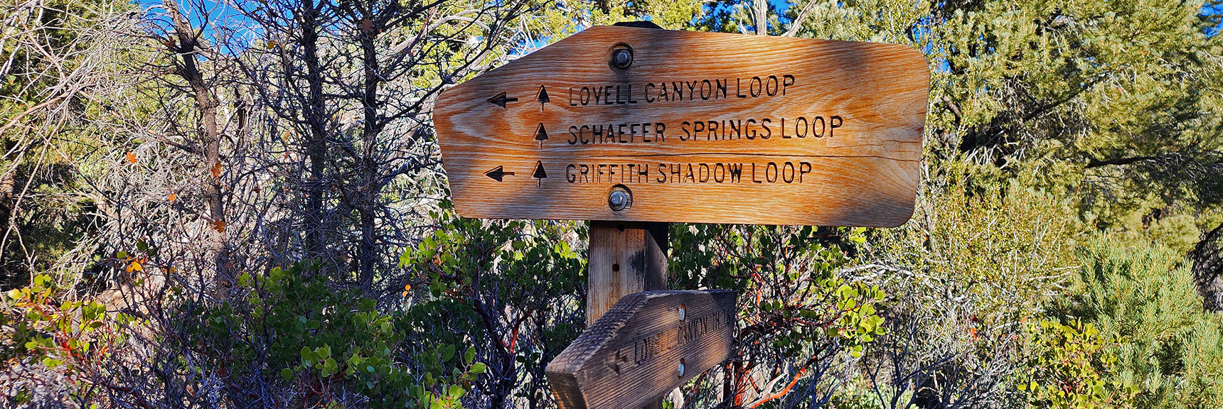 Choices at First Main Trail Division. Head Left for Clockwise Circuit of Loop. | Griffith Shadow Loop | Lovell Canyon, Nevada