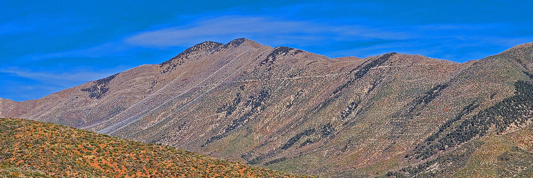 Harris Mountain is Wilson Ridge Northern High Point. Note Line of Griffith Peak Trail. | Griffith Shadow Loop | Lovell Canyon, Nevada