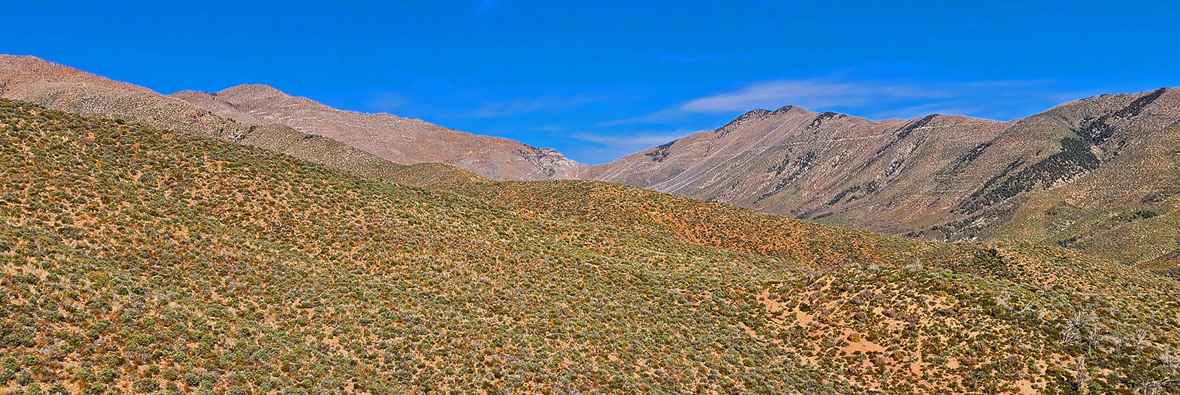 Griffith Peak (left) Marks High Point on Sexton Ridge, Western Border of Lovell Canyon | Griffith Shadow Loop | Lovell Canyon, Nevada