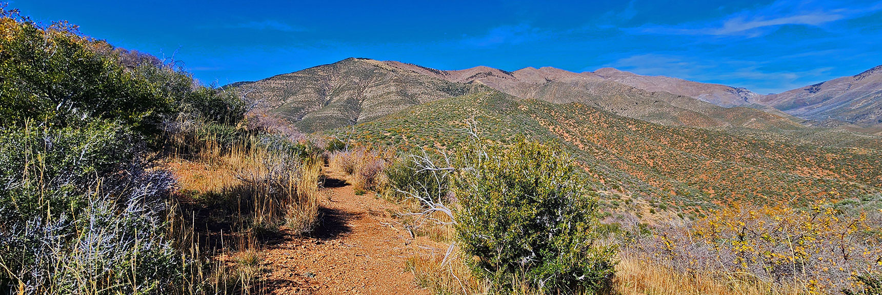 Near Entire Length of Sexton Ridge Straight Ahead | Griffith Shadow Loop | Lovell Canyon, Nevada