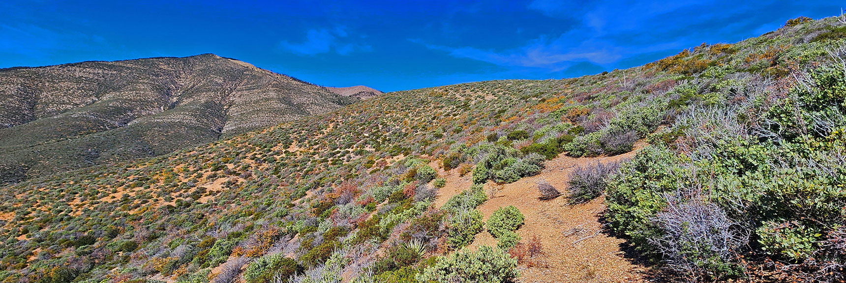 Rounding Some Hills Before Descending to Lovell Canyon Wash | Griffith Shadow Loop | Lovell Canyon, Nevada