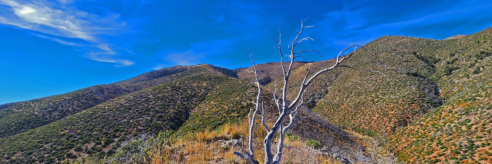 Now on the High Ridge Looking Up Toward Sexton Ridge. | Griffith Shadow Loop | Lovell Canyon, Nevada